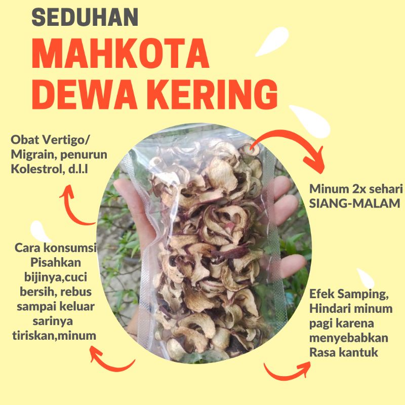 

jamu sachet mahkota dewa kering 1x rebusan (di sarankan bagi yang mau coba dulu) jamu mahkota dewa kering iris kering