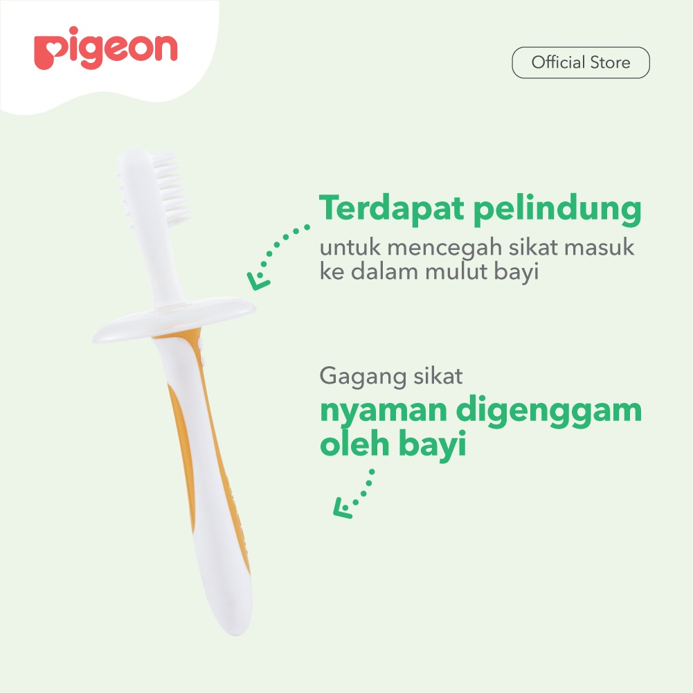 Pigeon Training Toothbrush step lesson  2 / Sikat gigi bayi