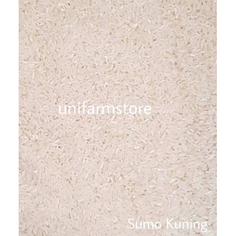 

kodeU0g0F--Beras Sumo Kemasan Kuning 10KG