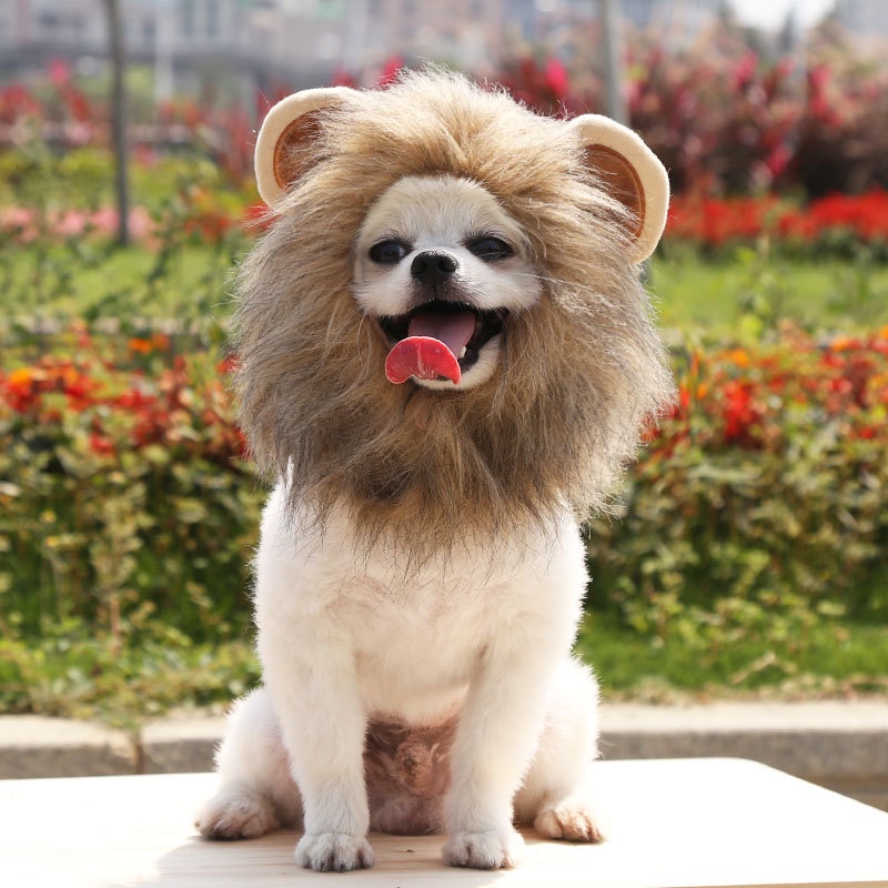 Topi Wig Rambut Singa Untuk Anjing Dan Kucing Peliharaan