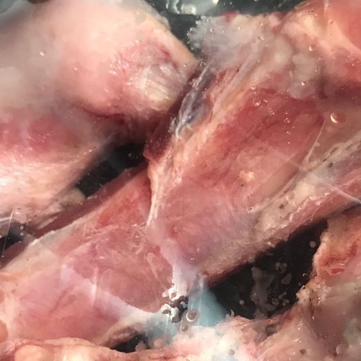 TULANG DENGKUL SAPI 1KG