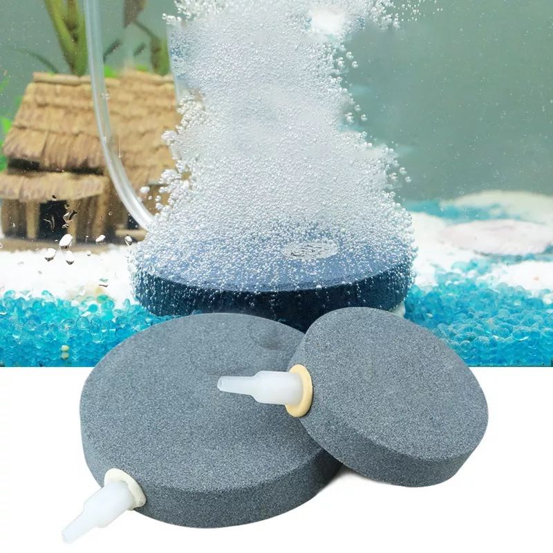 Air Stone Batu Aerasi Bulat Pipih 10 cm ASC - 100