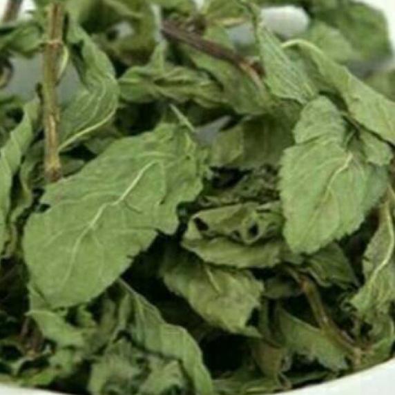 

CSa1A9m--daun mint kering