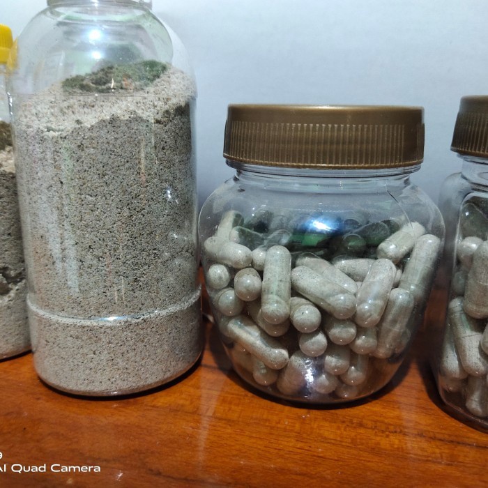 

Bubuk Bekicot atau keong mas 50gram