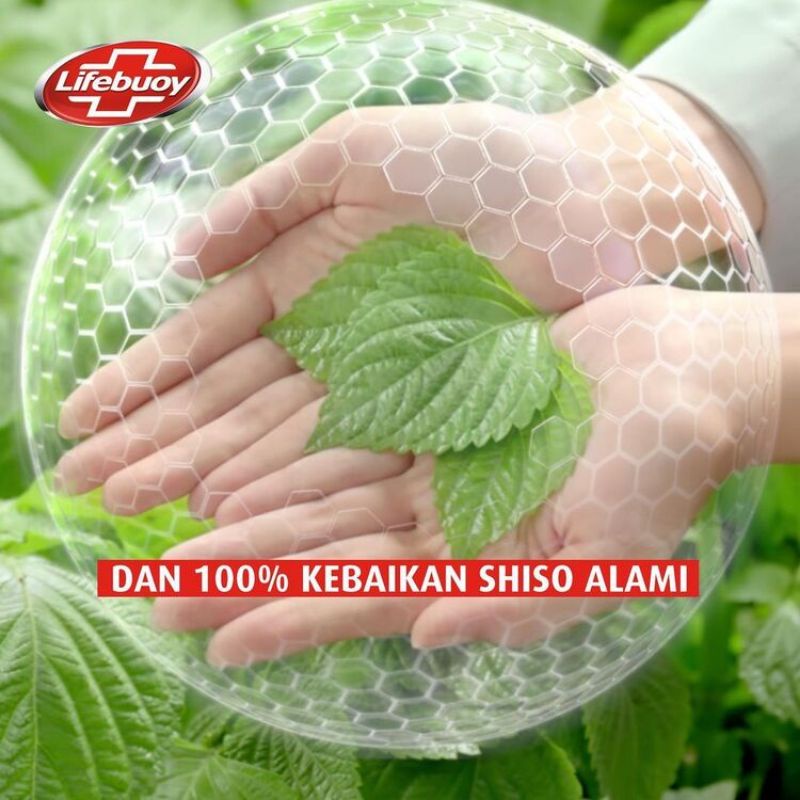 Lifebuoy Sabun Mandi Cair 825 ML Shiso &amp; Sandalwood Japanese 900ml Anti Bakteri