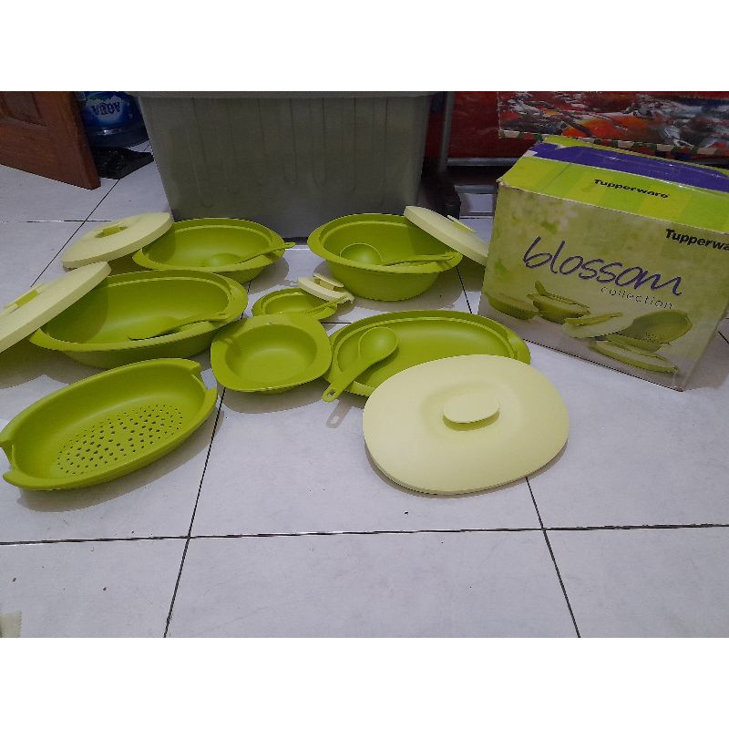 Blossom Collection Set Tupperware Preloved Second Bekas