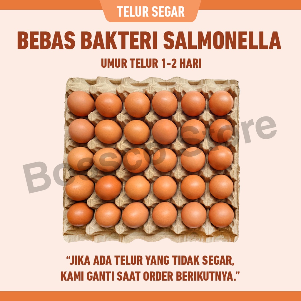 Telur Ayam Fresh umur telur 1-2 hari isi 30 butir / 1.8 kg telur segar langsung dari ternak telor ayam segar telor fresh telo0r segar telur organik telur bebas salmonella telur premium telur berkualitas