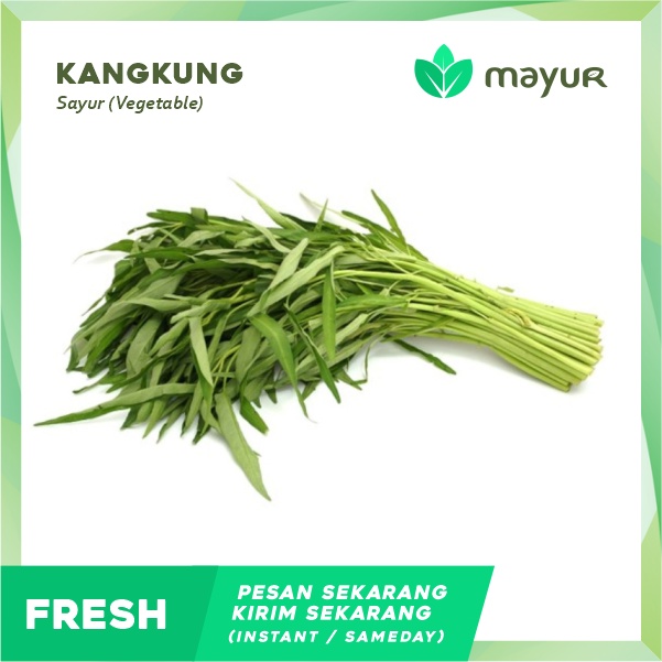 

Kangkung 1 Ikat (150 g)