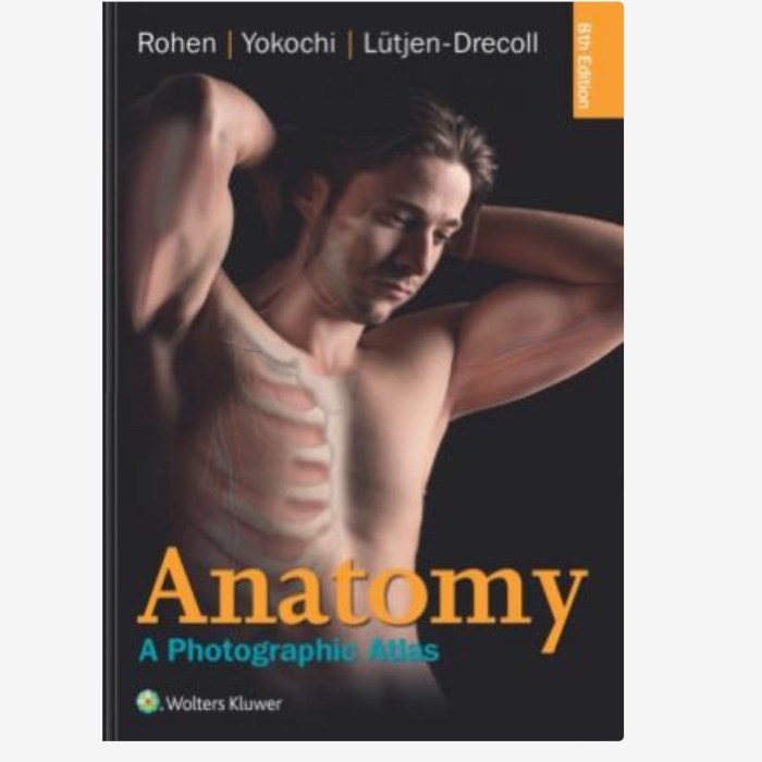 Anatomy: A Photographic Atlas by Johannes W. Rohen, Chihiro Yokochi