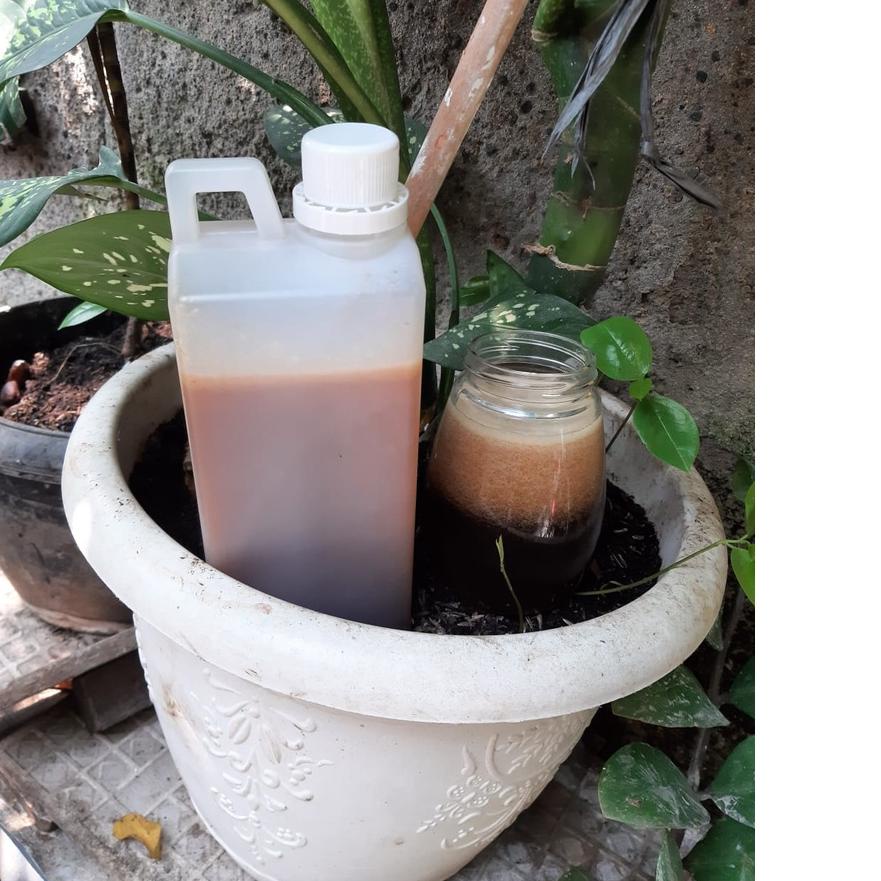 

GRATIS ONGKIR✅Madu sialang jambi 1kg Madu hutan sialang jambi murni madu asli murah jakarta|RA9