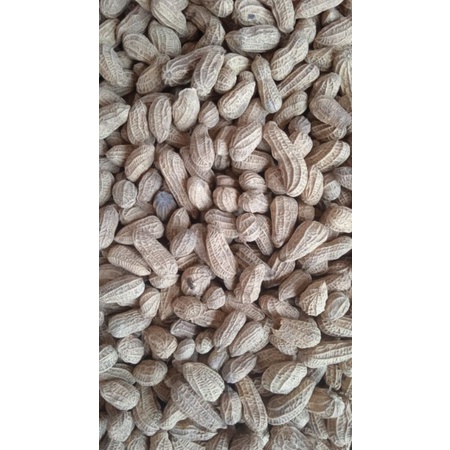 

Kacang Goreng Bendo kemasan 5kg an