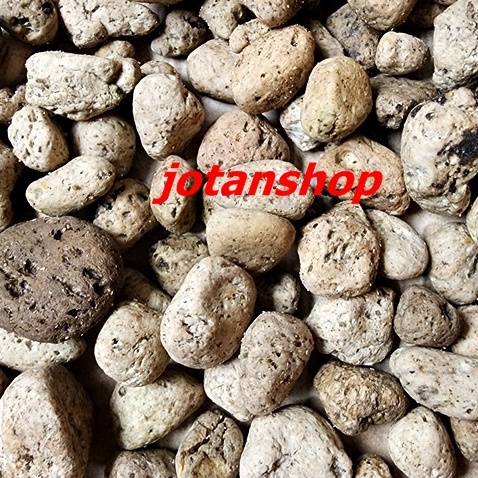 BATU APUNG AQUASCAPE PUMICE PUMIS STONE MEDIA FILTER RUMAH BAKTERI AQUARIUM