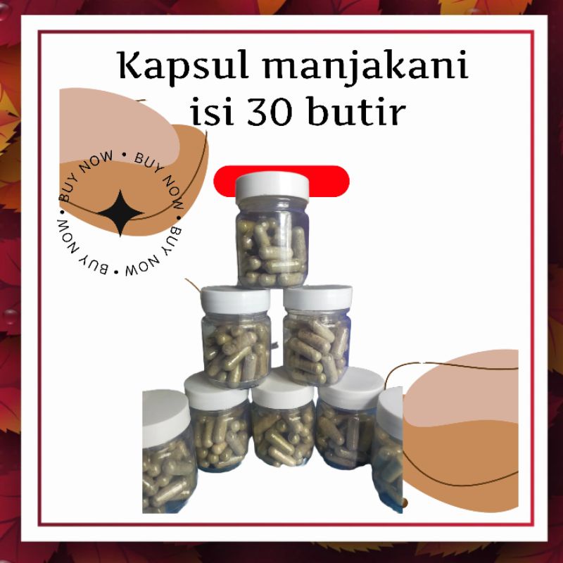 Manjakani kapsul asli kalimantan isi 30 butir ramuan dayak kalimantan