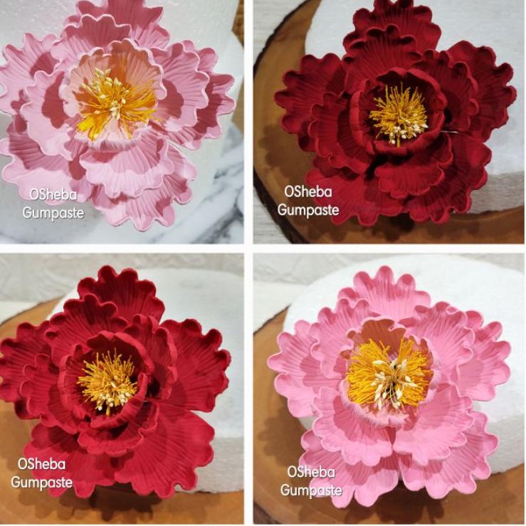 

FLASH SALE osheba bunga gumpaste peony 10 cm warna pink murah