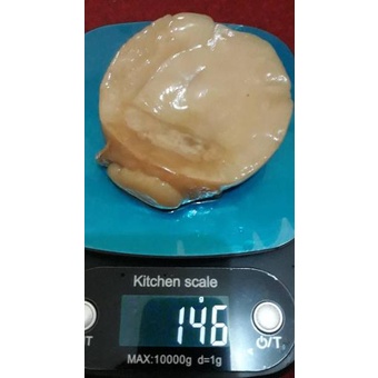 

Terkini➟ !!! SCOBY ATAU JAMUR DIPO UNTUK MEMBUAT KOMBUCHA 47