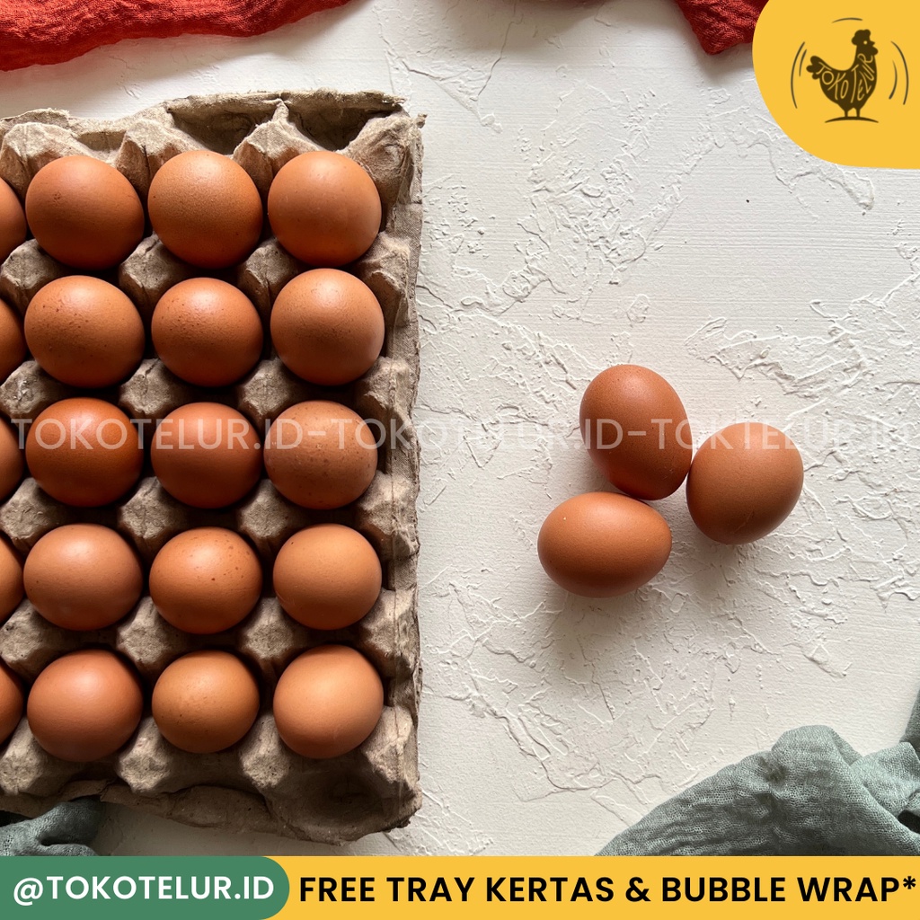 Telur Ayam Negeri Premium Pilihan (30 Butir) 1 Tray - FRESH/Segar