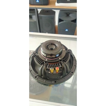 neodymium speaker 10inch