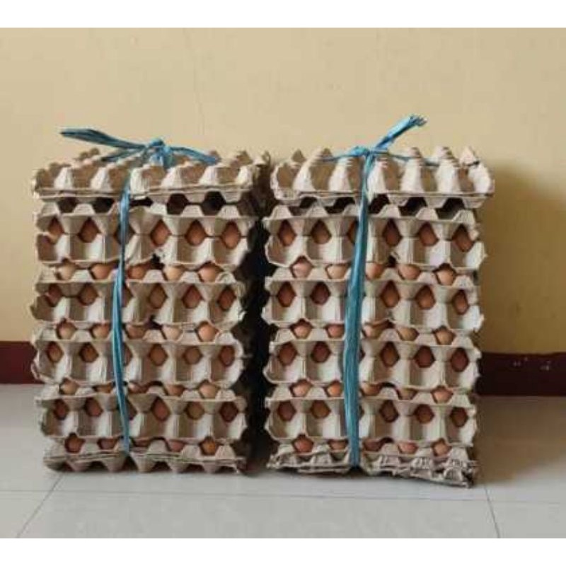 

Telur Ayam Negri 15 kg