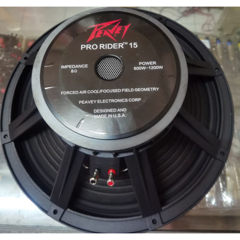 Speaker 15 inc Peavey Pro Rider 15