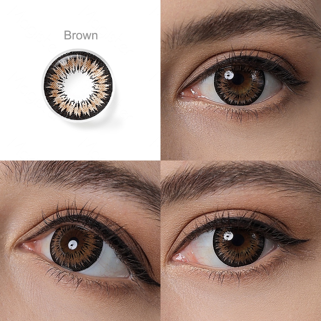 [✅COD] MAGISTER SOFTLENS DAWN SERI LENSA KONTAK NORMAL 14.5 MM