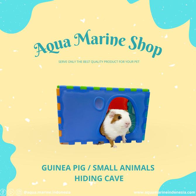 Promo Rumah Guinea Pig / Marmut - Tempat Tidur Guinea Pig / Cavy / Marmut