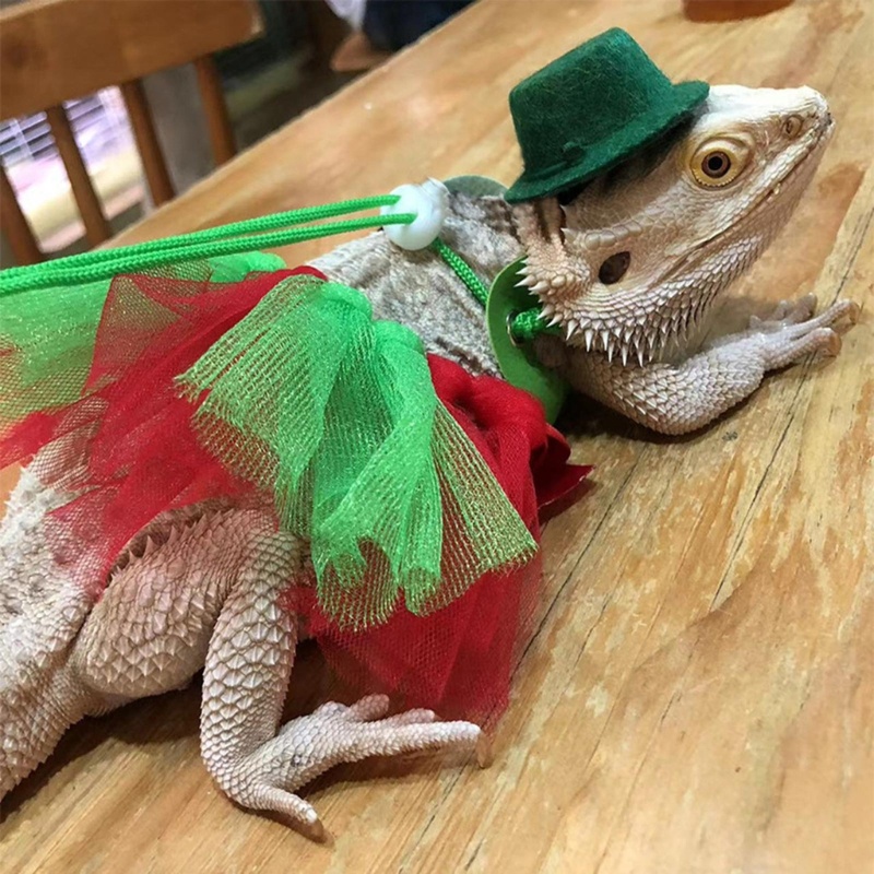 Rok Tutu Tema Natal Untuk Cosplay