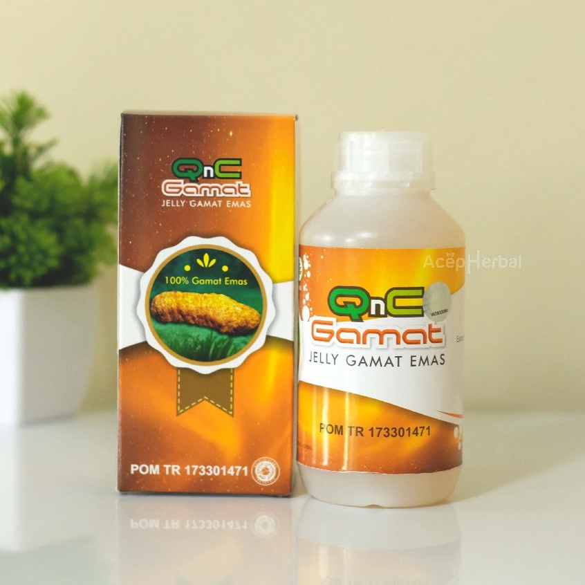 Qnc Jelly Gamat Obat Patah Tulang dan Retak Keropos Flu Tulang Kaki Tangan Herbal 300 Ml Bpom Ekstrak Teripang Emas Asli