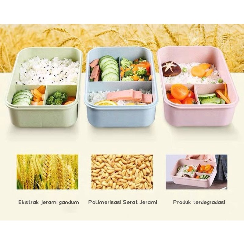 Tempat Makan Kotak Bekal Microwavable Lunch Box Kotak Makan Anak