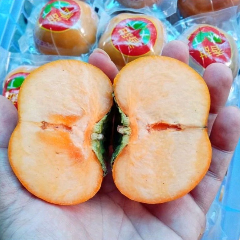 BUAH PERSIMMON KESEMEK IMPORT MANIS SEGAR / 1 KG