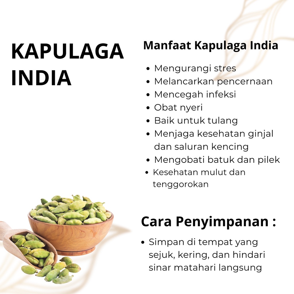Kapulaga India Hijau 50 gr Import Green Cardamon Premium Quality kapolaga arab kering kapol
