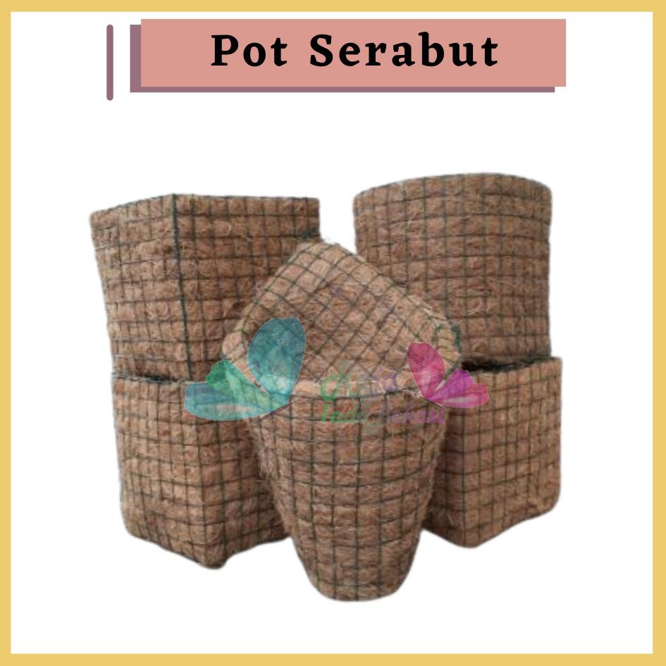 Pot Anggrek Serabut Kelapa Pot Tanaman Pot Bunga Termurah Pot Bagus Cocofiber 500gr Pot Serabut Kelapa Tanaman Anggrek Gantung Tempel Jumbo-Pot sabut kelapa gantung cantik dan elegan