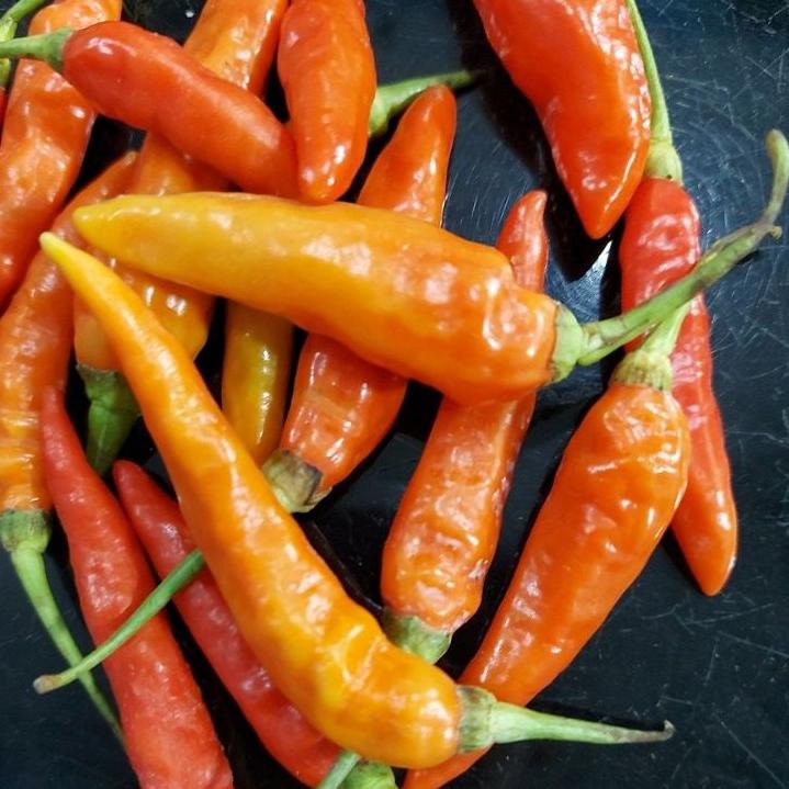 

COD✔️CABAI RAWIT MERAH 1KG FRESH|RA6