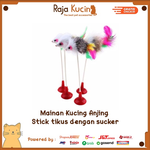 Mainan kucing anjing stick tikus dengan sucker