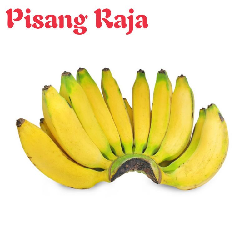 

Pisang Raja Fresh 1 Sisir