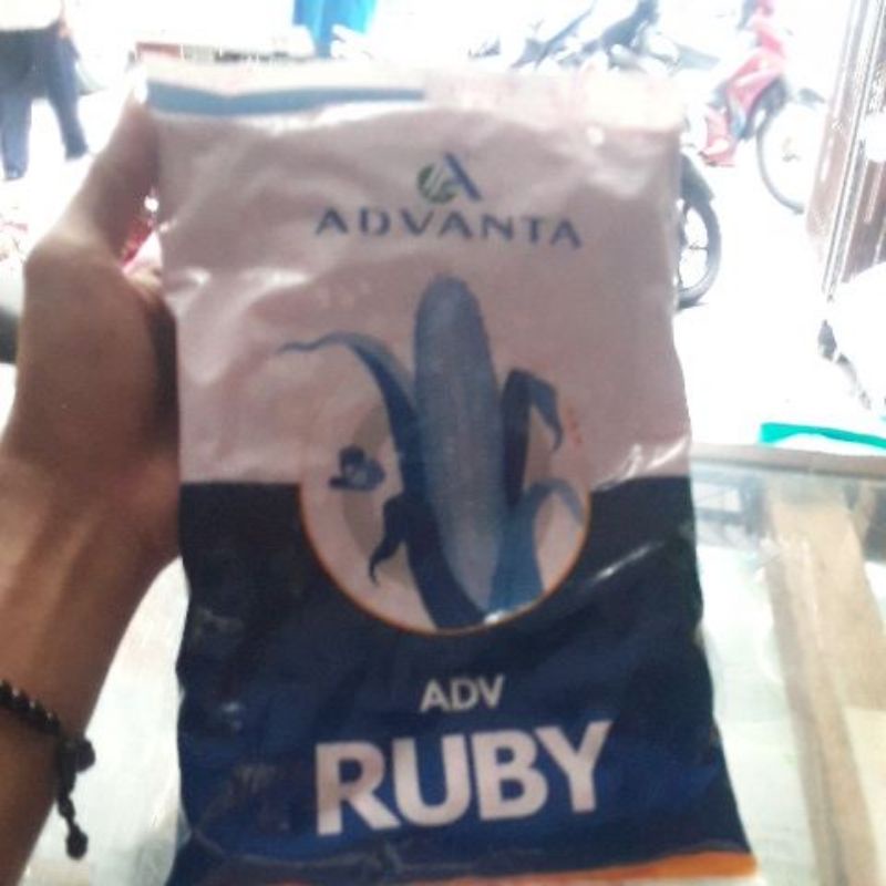 

ADVANTA