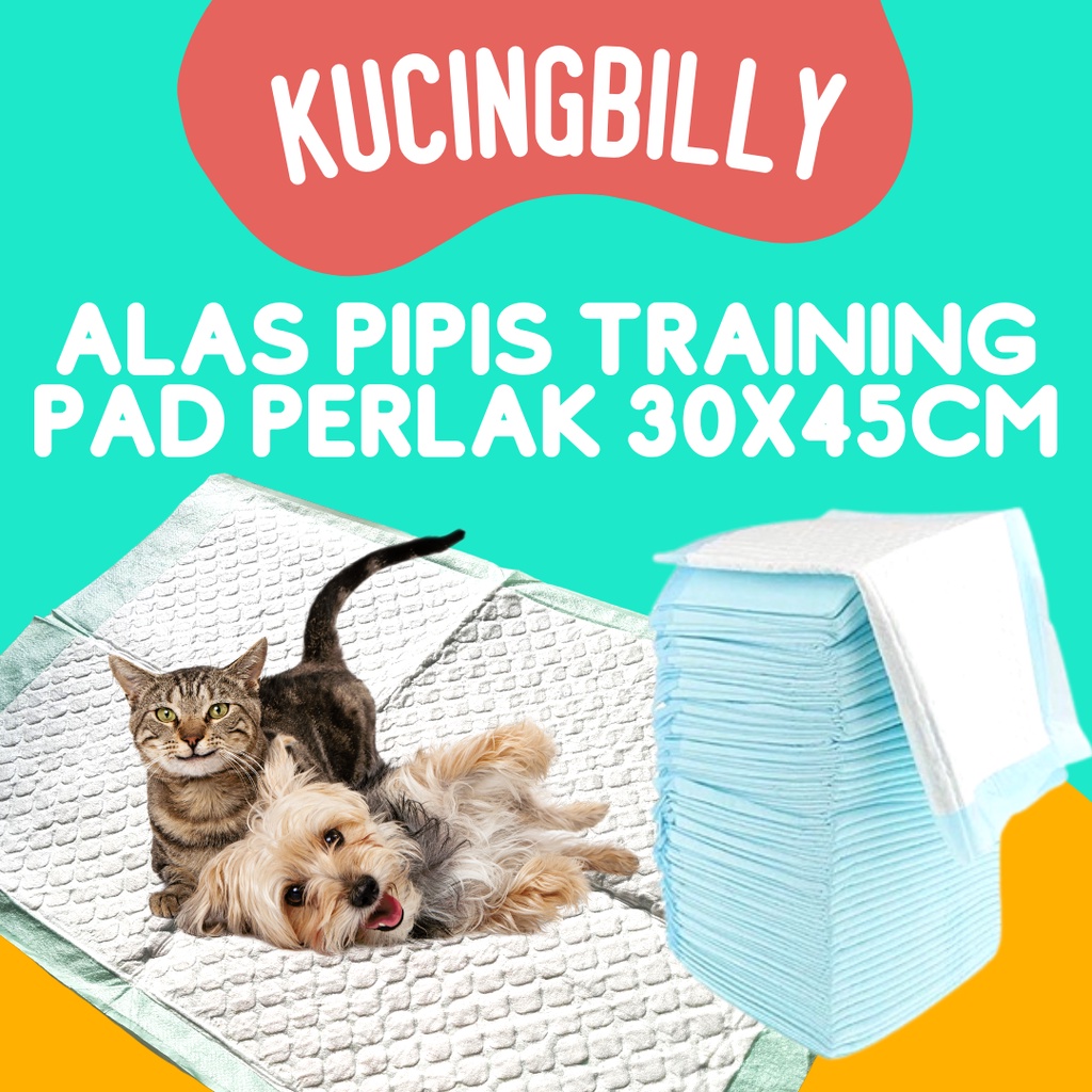 Alas pipis training pad perlak kucing anjing