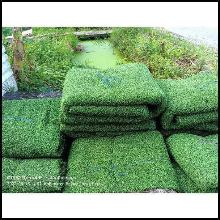 Rumput Sintetis Bekas Kualitas Terbaik 70Rb Untuk Ukuran 1Meter