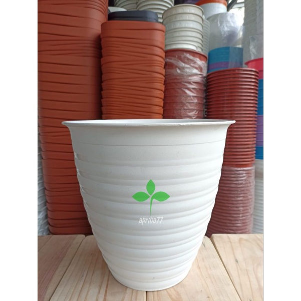 POT PIRUS 30 | ORI BJP