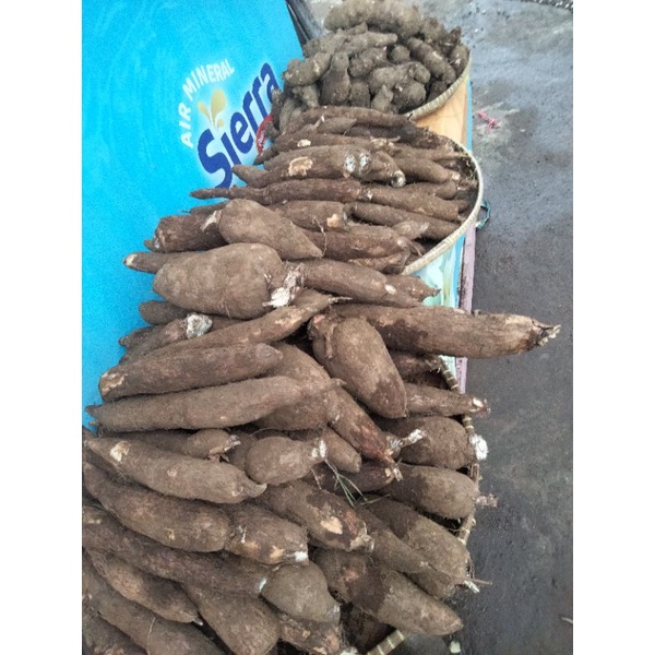 

singkong mentah pulen
