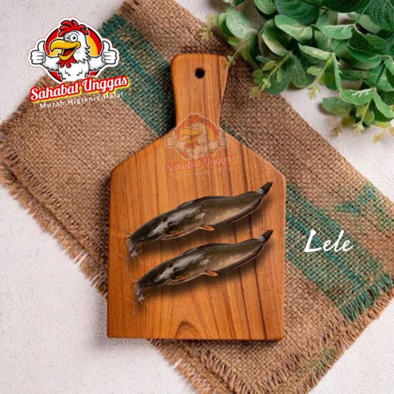 

Ikan Lele 500gr