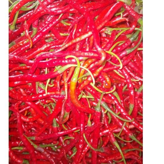 

id8p3Od--CABAI MERAH KERITING FRESH 1KG