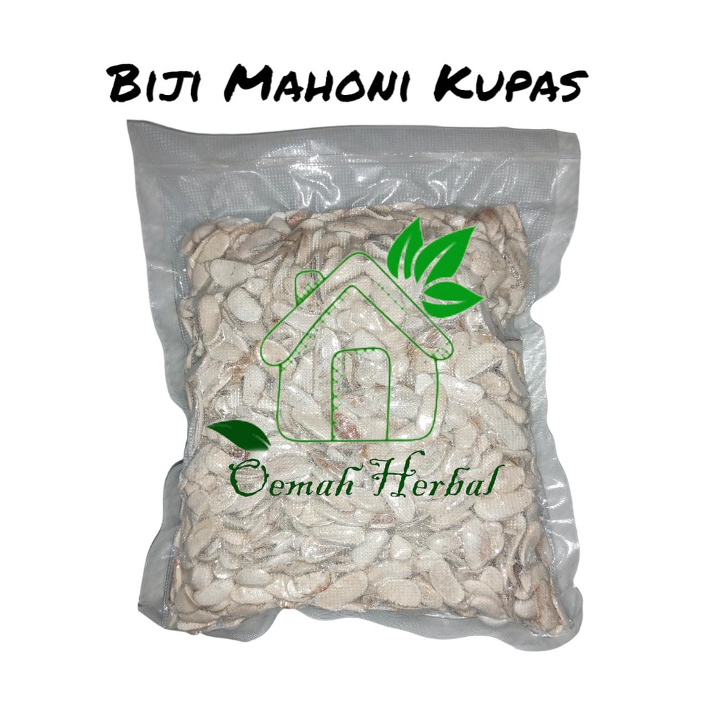 Biji mahoni kupas 500 gram biji mahoni kupas kering