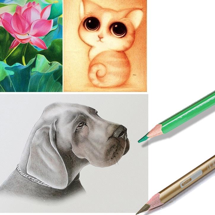 

Terbaik.. Smartfish Oil Pensil Warna Dengan Kualitas Tinggi 12/24/36/48/72/120 WaterColor