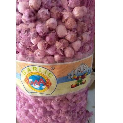 

Diskon✔️Bawang Putih Tunggal IMPORT! 500G Gram FRESH!!!|KD6