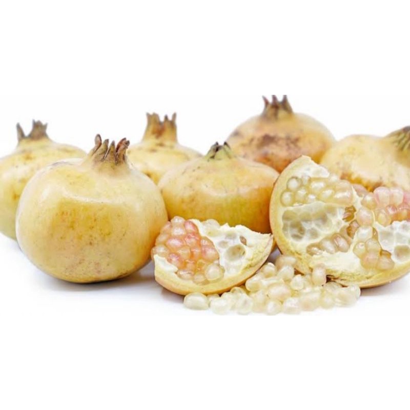 

buah delima putih organik superfood