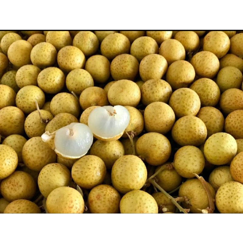 

Klengkeng bangkok madu 500gr / 1kg