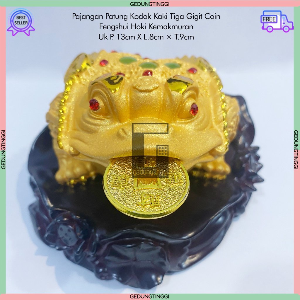 Patung Pajangan Hiasan Dekorasi Kado Hadiah Kodok Katak Kaki Berkaki Tiga 3 Gigit Uang Coin Koin Emas Gold ChanChu Cancu Feng Shui Hias Imlek Sincia Panggil Hoki Rejeki Keberuntungan Tahun Baru Cina Gift Box Toko Kasir Cafe Kecil Small Mini Sedang Medium