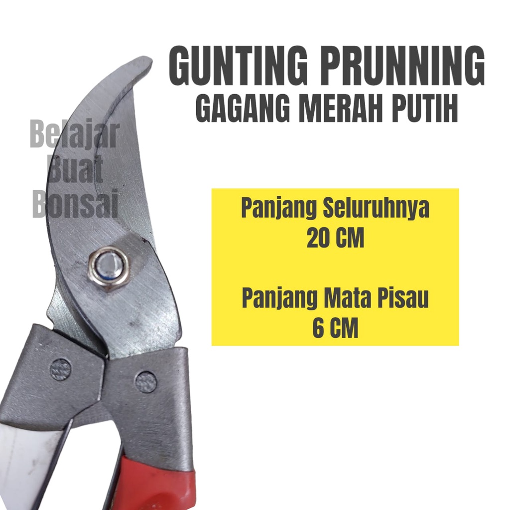 Gunting Prunning Daun Buah Ranting Merah Putih 20 CM Kode JLW