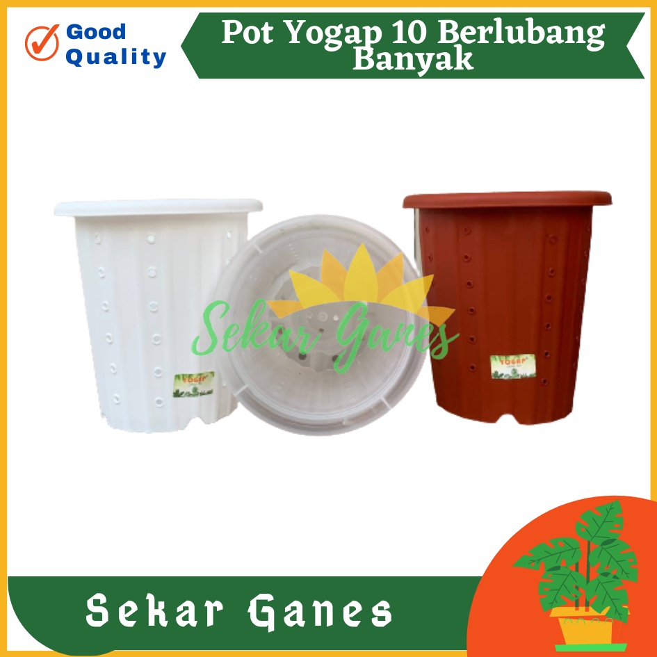 Pot Yogap 10 BERLUBANG Putih Bening Transparan Merah Bata Merah Coklat Terracota POT BUNGA YOGAP YPT 10 BERLUBANG BENING / TRANSPARAN PUTIH &amp; MERAH BATA | POT TANAMAN HIAS