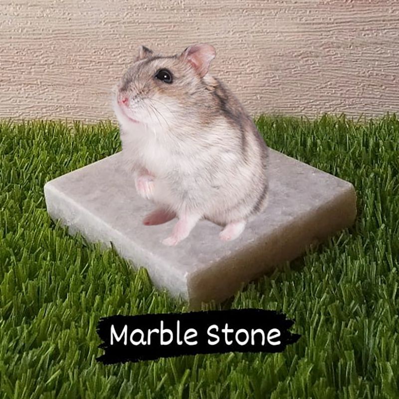 MARBLE PAD - Marble Cooling Pad Hamster Pendingin Hamster Alas Tidur Hamster Marmer Pendingin Hamster FEFARM